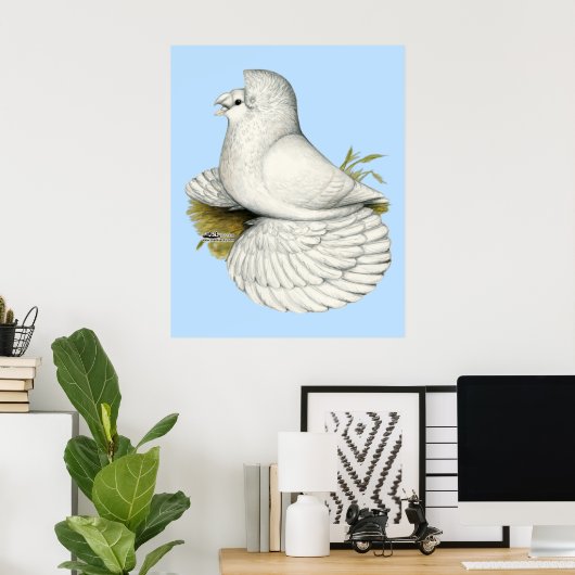Trumpeter Pigeon White Poster (Thuiskantoor)