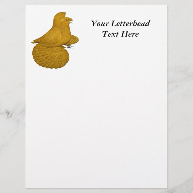 Trumpeter Pigeon Yellow (Voorkant)