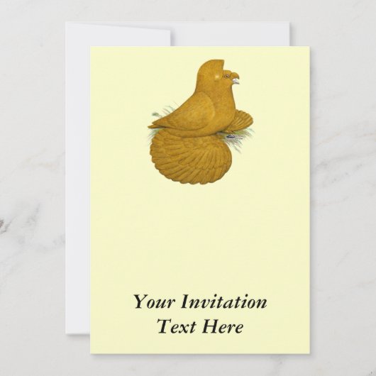Trumpeter Pigeon Yellow Self Kaart (Voorkant)