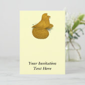 Trumpeter Pigeon Yellow Self Kaart (Staand voorkant)
