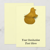 Trumpeter Pigeon Yellow Self Kaart (Voorkant / Achterkant)