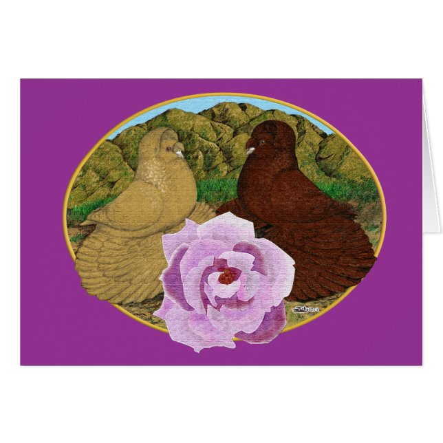 Trumpeter Pigeons en Roos (Voorkant Horizontaal)