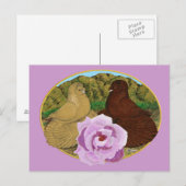 Trumpeter Pigeons en Roos Briefkaart (Voorkant / Achterkant)