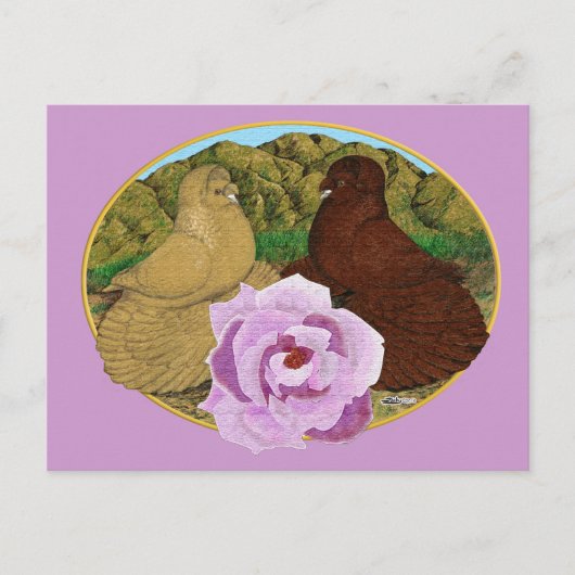 Trumpeter Pigeons en Roos Briefkaart (Voorkant)