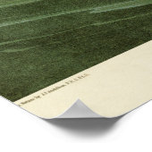 Trumpeter-swan antiek litho-bord Audubon Poster (Hoek)