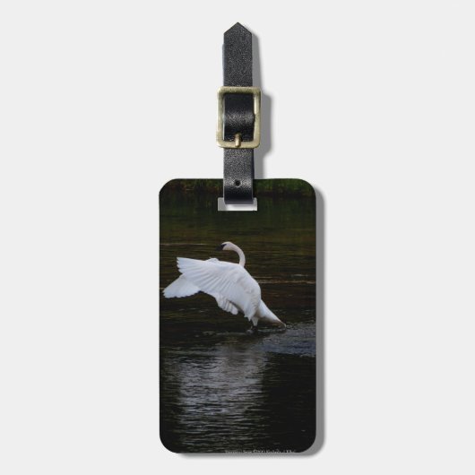 Trumpeter Swan Bagagelabel (Voorkant verticaal)