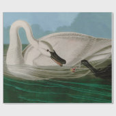 Trumpeter Swan Birds of America Audubon Print Cadeaupapier (Vlak)