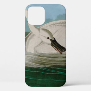 Trumpeter Swan Birds of America Audubon Print Case-Mate iPhone Case