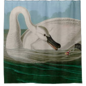 Trumpeter Swan Birds of America Audubon Print Douchegordijn (Voorkant)
