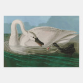 Trumpeter Swan Birds of America Audubon Print Inpakpapier Vel (Voorkant 2)