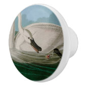 Trumpeter Swan Birds of America Audubon Print Keramische Knop (Rechts)