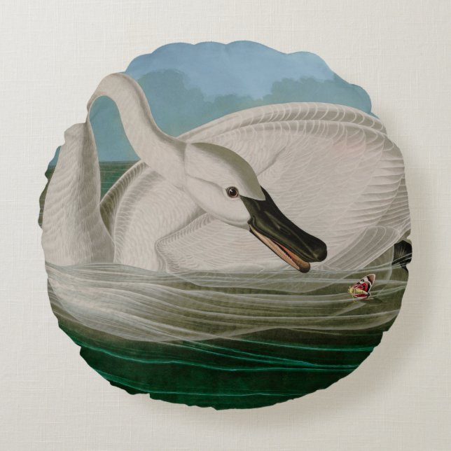 Trumpeter Swan Birds of America Audubon Print Rond Kussen (Voorkant)