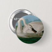 Trumpeter Swan Birds of America Audubon Print Ronde Button 5,7 Cm (Voorkant /achterkant)
