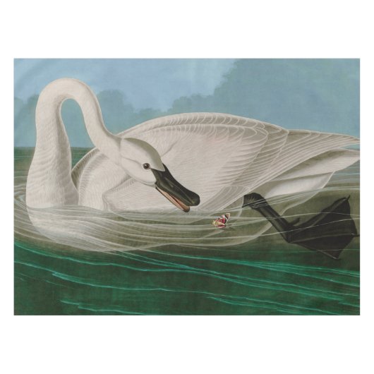 Trumpeter Swan Birds of America Audubon Print Tafelkleed (Voorkant (Horizontaal))