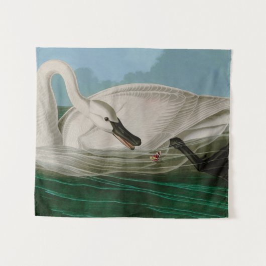 Trumpeter Swan Birds of America Audubon Print Wandkleed (Voorkant (horizontaal))