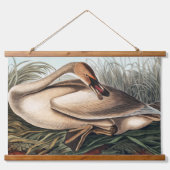 Trumpeter Swan door John James Audubon Hangend Wandkleed (Voorkant)