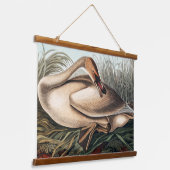Trumpeter Swan door John James Audubon Hangend Wandkleed (Gebogen)