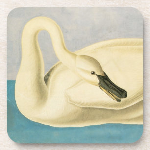 Trumpeter Swan door John James Audubon,  vogel Bier Onderzetter