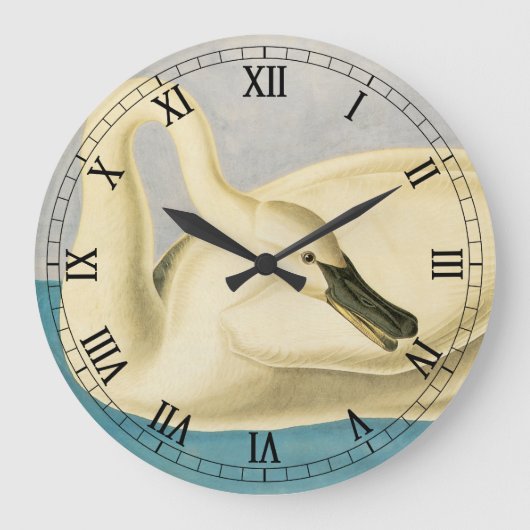 Trumpeter Swan door John James Audubon,  vogel Grote Klok (Voorkant)