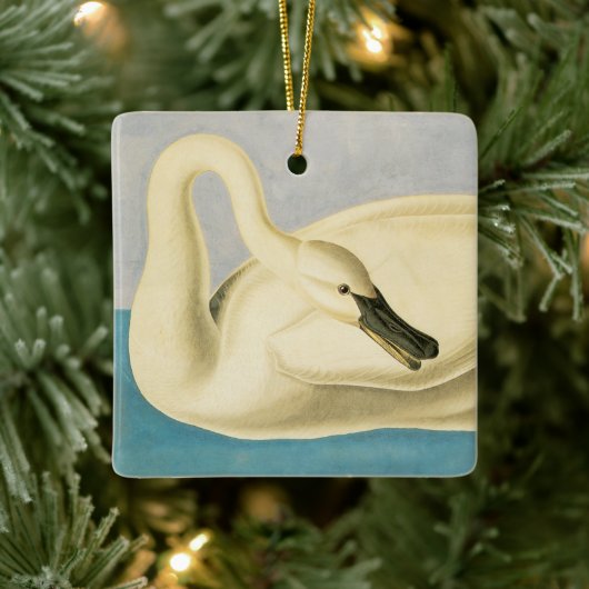 Trumpeter Swan door John James Audubon,  vogel Keramisch Ornament (Boom)
