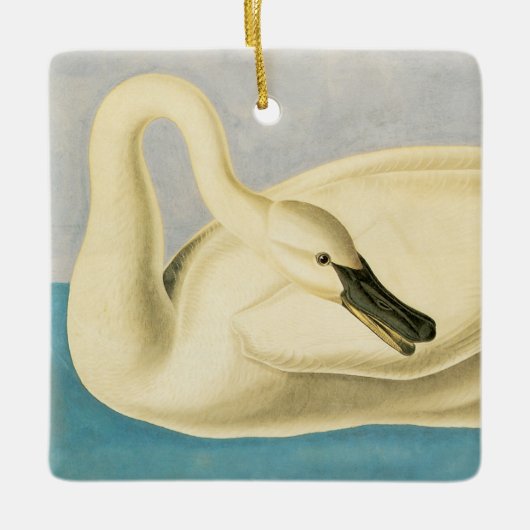 Trumpeter Swan door John James Audubon,  vogel Keramisch Ornament (Voorkant)