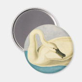 Trumpeter Swan door John James Audubon,  vogel Magneet (Voorkant / Achterkant)