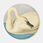 Trumpeter Swan door John James Audubon,  vogel Magneet (Voorkant)