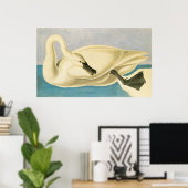 Trumpeter Swan door John James Audubon,  vogel Poster (Thuiskantoor)