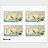 Trumpeter Swan door John James Audubon,  vogel Rechthoekige Sticker (Vel)