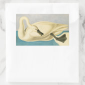 Trumpeter Swan door John James Audubon,  vogel Rechthoekige Sticker (Tas)