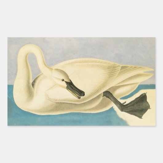 Trumpeter Swan door John James Audubon,  vogel Rechthoekige Sticker (Voorkant)