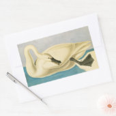 Trumpeter Swan door John James Audubon,  vogel Rechthoekige Sticker (Envelop)