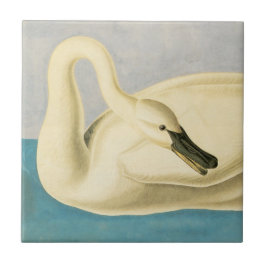 Trumpeter Swan door John James Audubon,  vogel Tegeltje