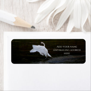 Trumpeter Swan Etiket