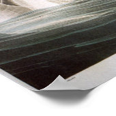 Trumpeter Swan, John James Audubon Poster (Hoek)