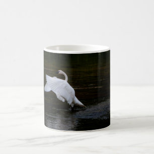 Trumpeter Swan Koffiemok