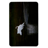 Trumpeter Swan Magneet (Verticaal)