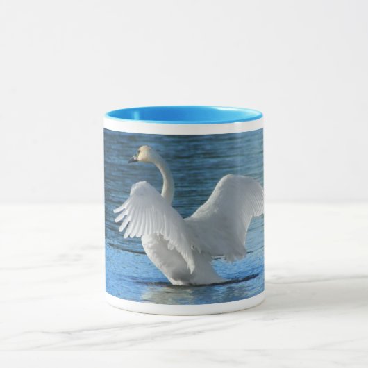 Trumpeter Swan Mok (Midden)