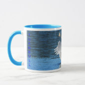 Trumpeter Swan Mok (Links)