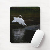 Trumpeter Swan Muismat (Met muis)
