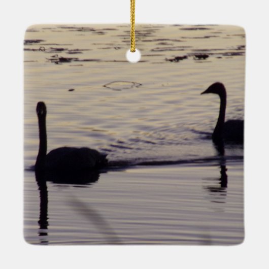 Trumpeter Swan Ornament (Achterkant)