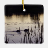 Trumpeter Swan Ornament (Voorkant)