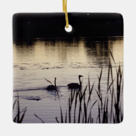 Trumpeter Swan Ornament