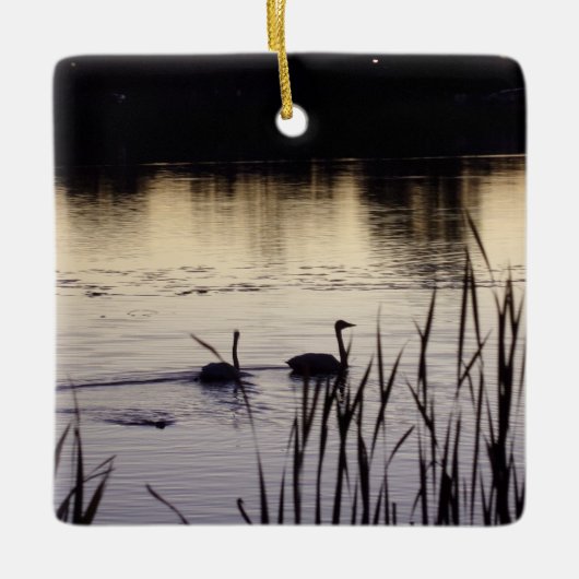 Trumpeter Swan Ornament (Voorkant)