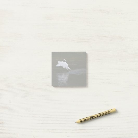 Trumpeter Swan Post-it® Notes (Op bureau)