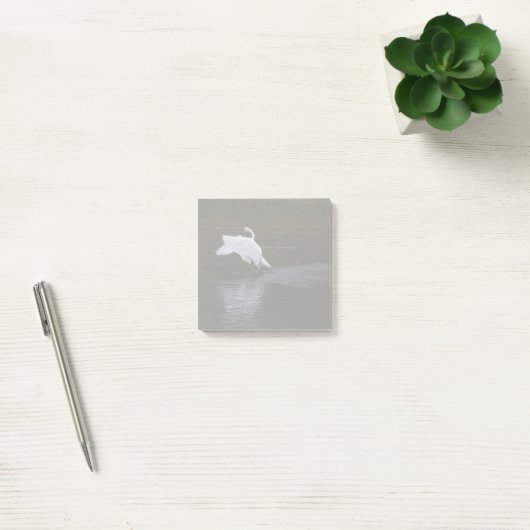 Trumpeter Swan Post-it® Notes (Kantoor)