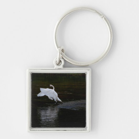 Trumpeter Swan Sleutelhanger (Voorkant)