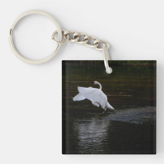 Trumpeter Swan Sleutelhanger (Voorkant)