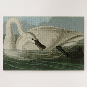 Trumpeter Swan - uit Audubon's Birds of America Legpuzzel