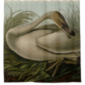 Trumpeter Swan - van Audubon's Birds of America S Douchegordijn (Voorkant)